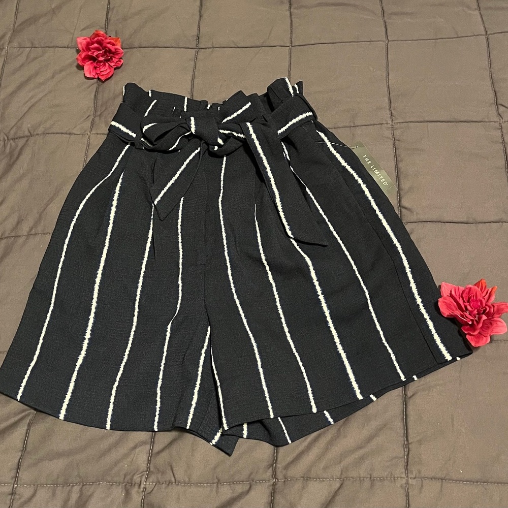 NWT The Limited 5 inch Seam Petite Shorts Size 6P